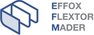 logo-EFM-color 1